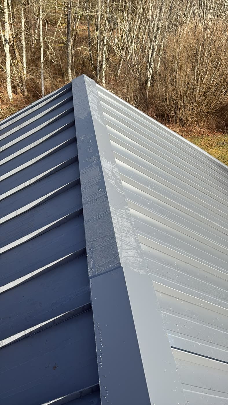 Volkers roofing project 22
